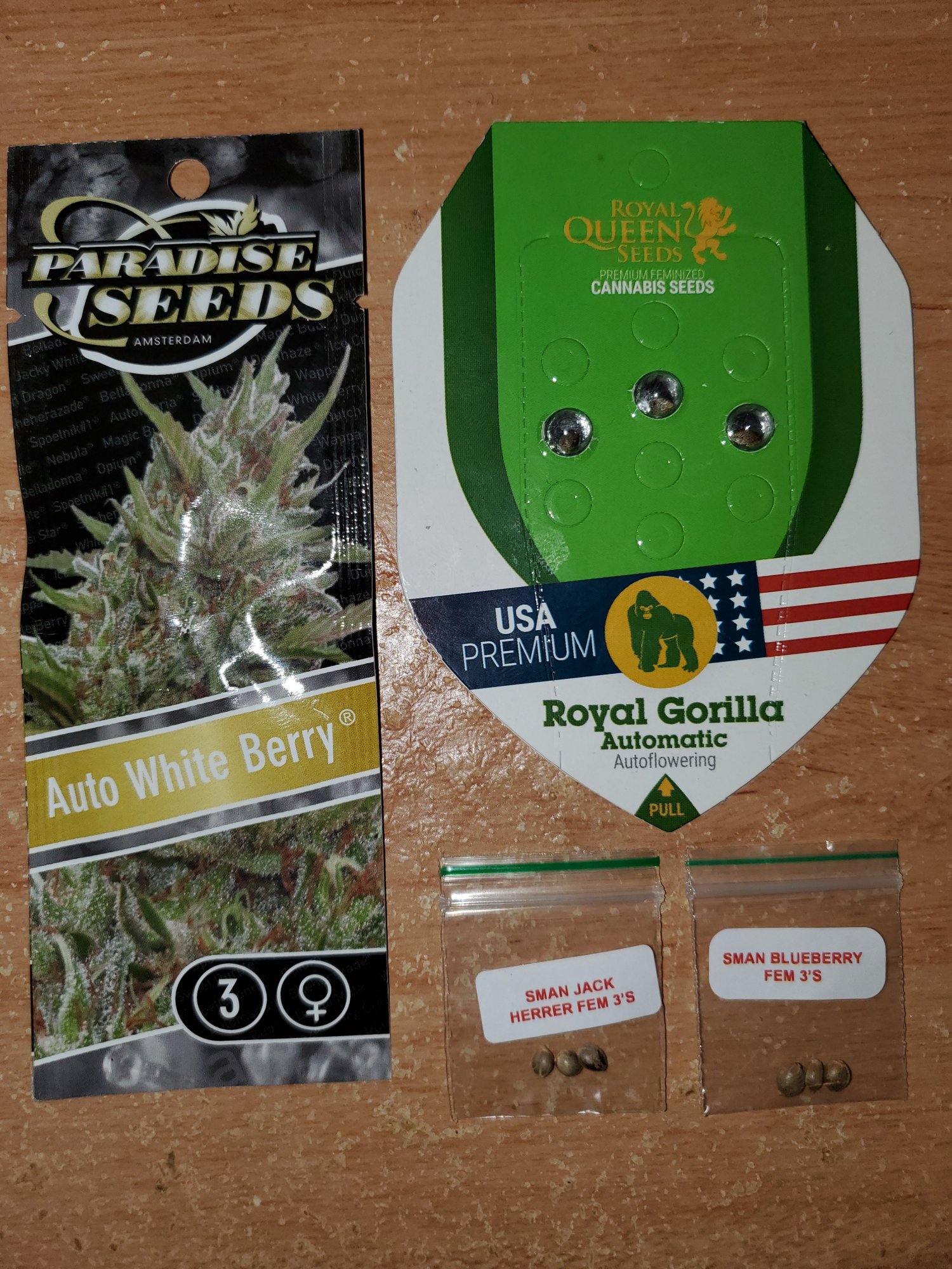 Ilumigrower second grow 3x3 phlizon 900w