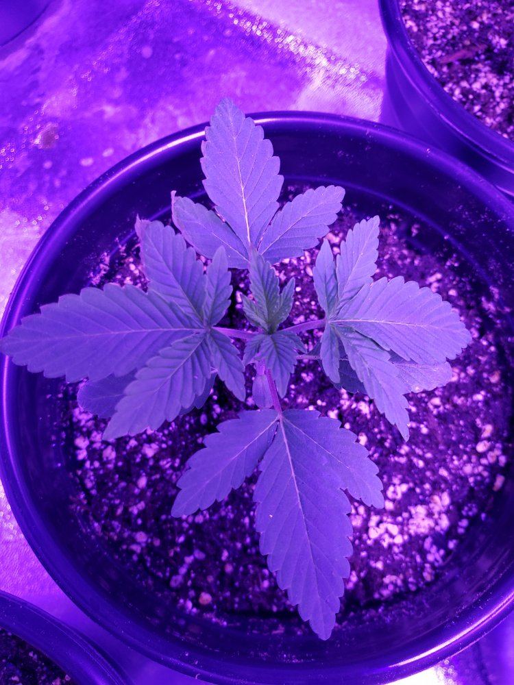 Im new to this 2