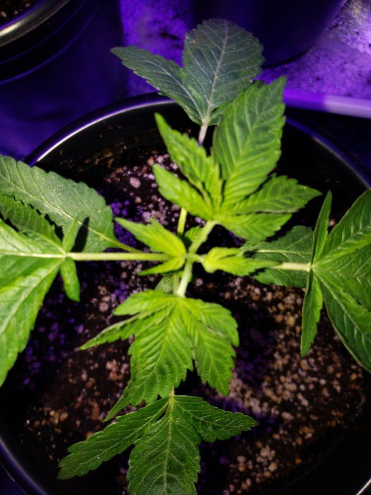 Im new to this 3