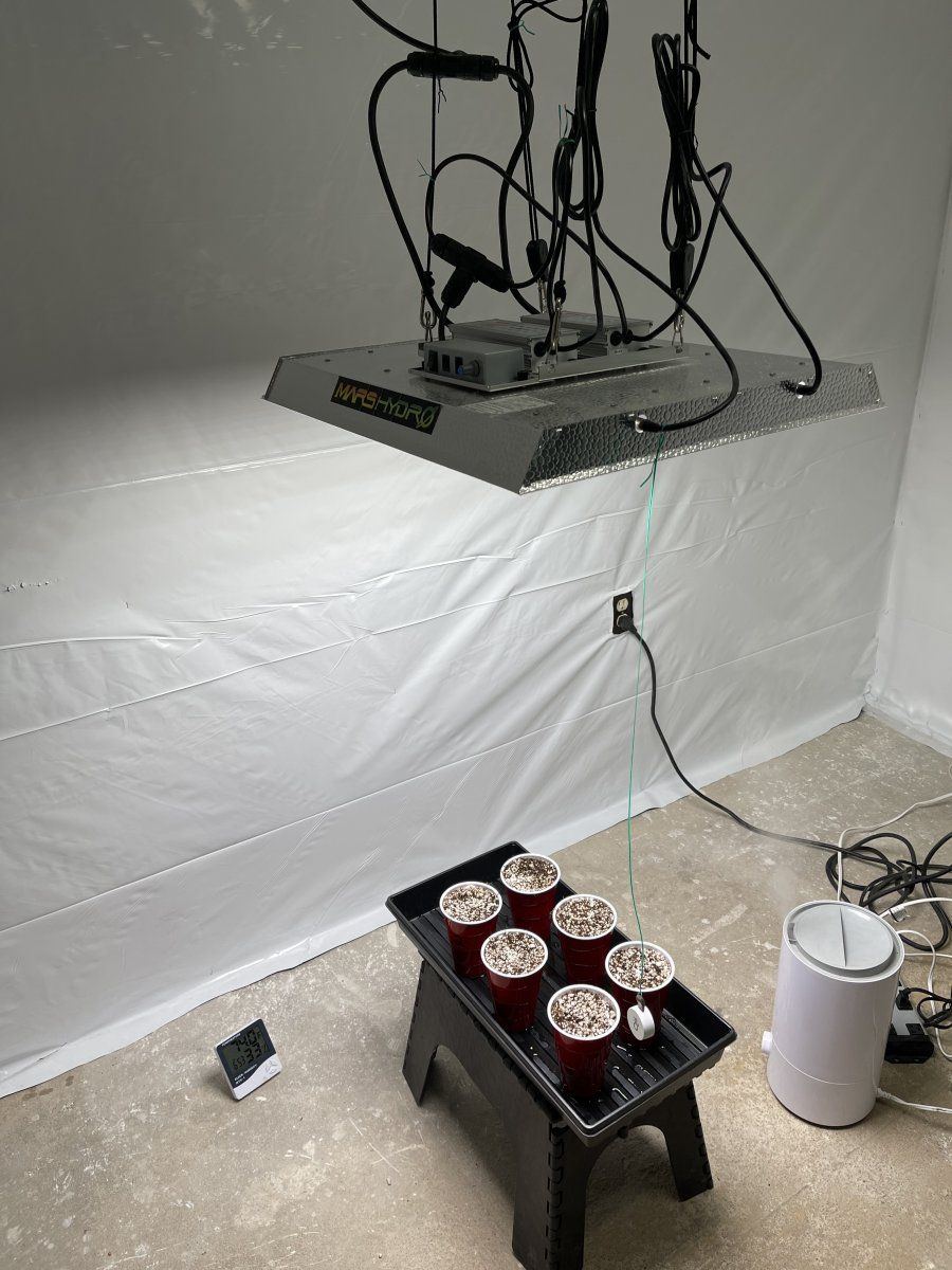 Im sofakinghigh and this is my grow room 3
