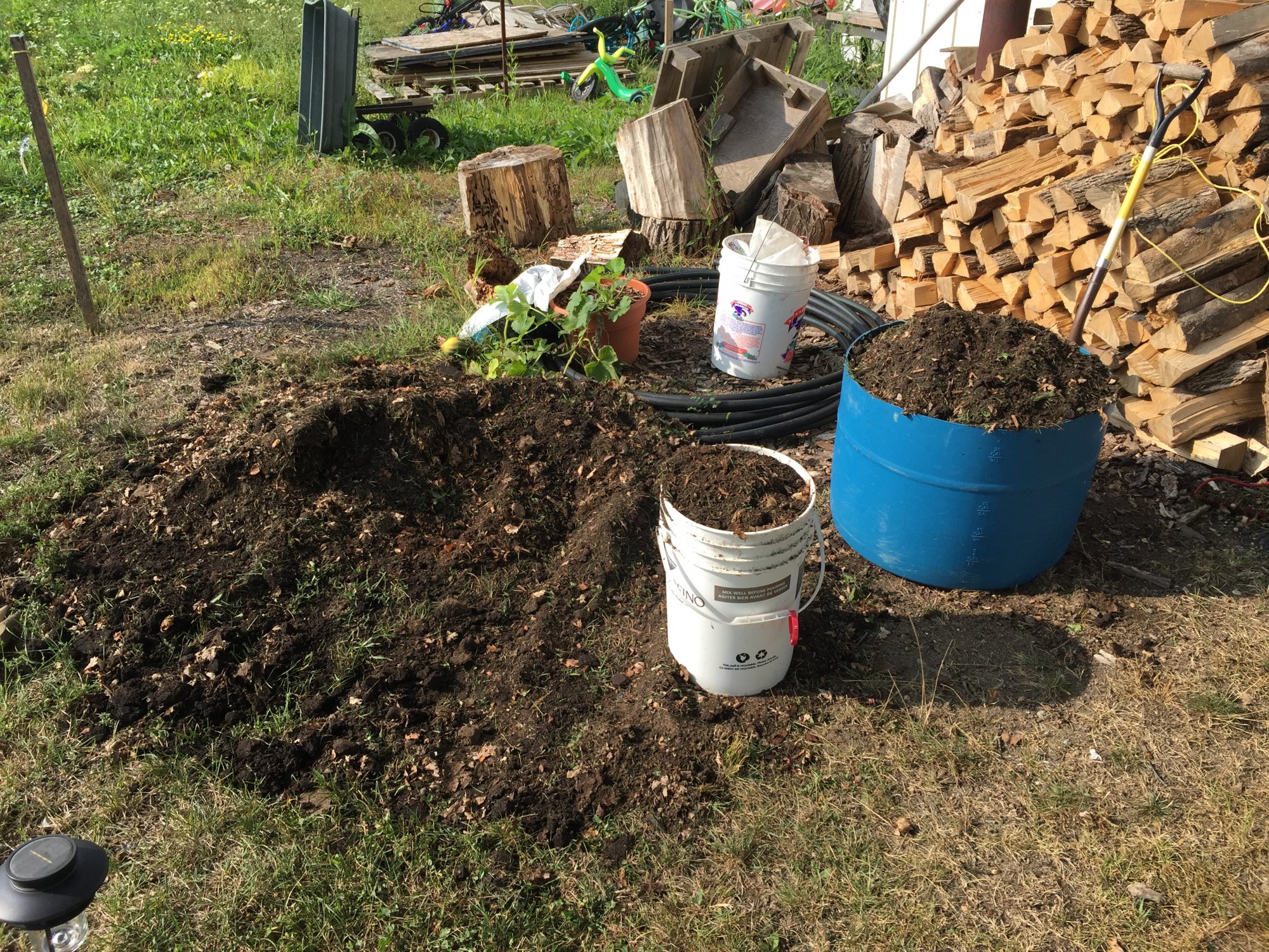 Im working on growing in living soil 5