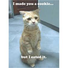 Imadeyouacookie