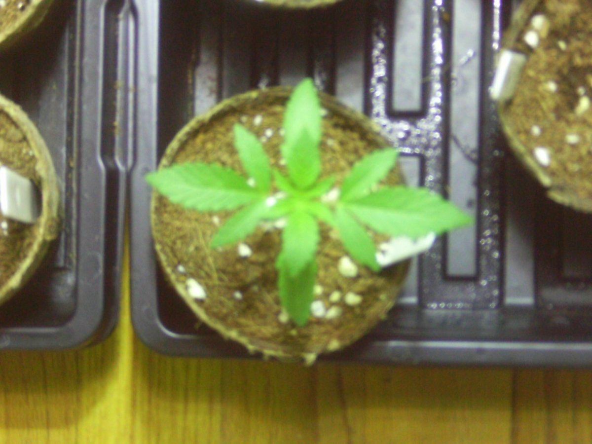 IMAG0001
