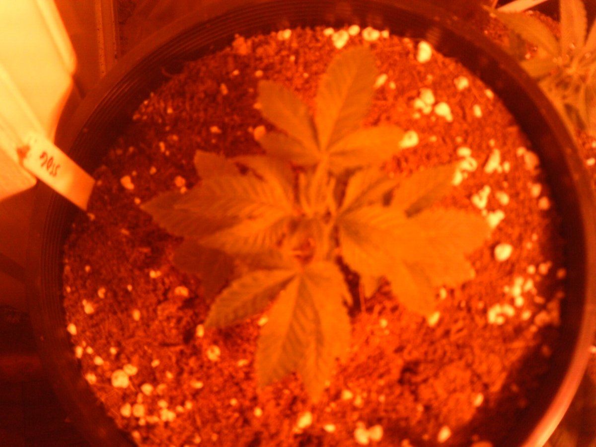 IMAG0001