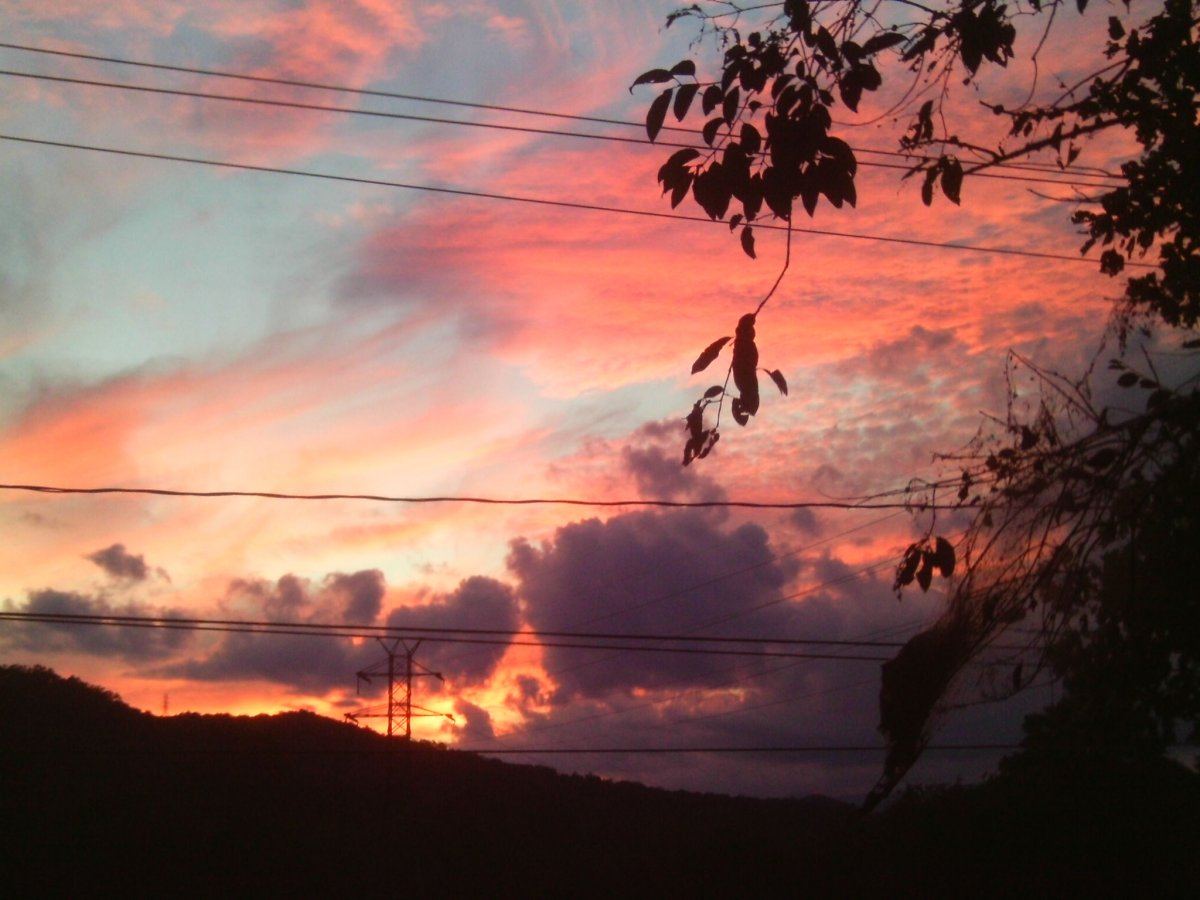 IMAG0002