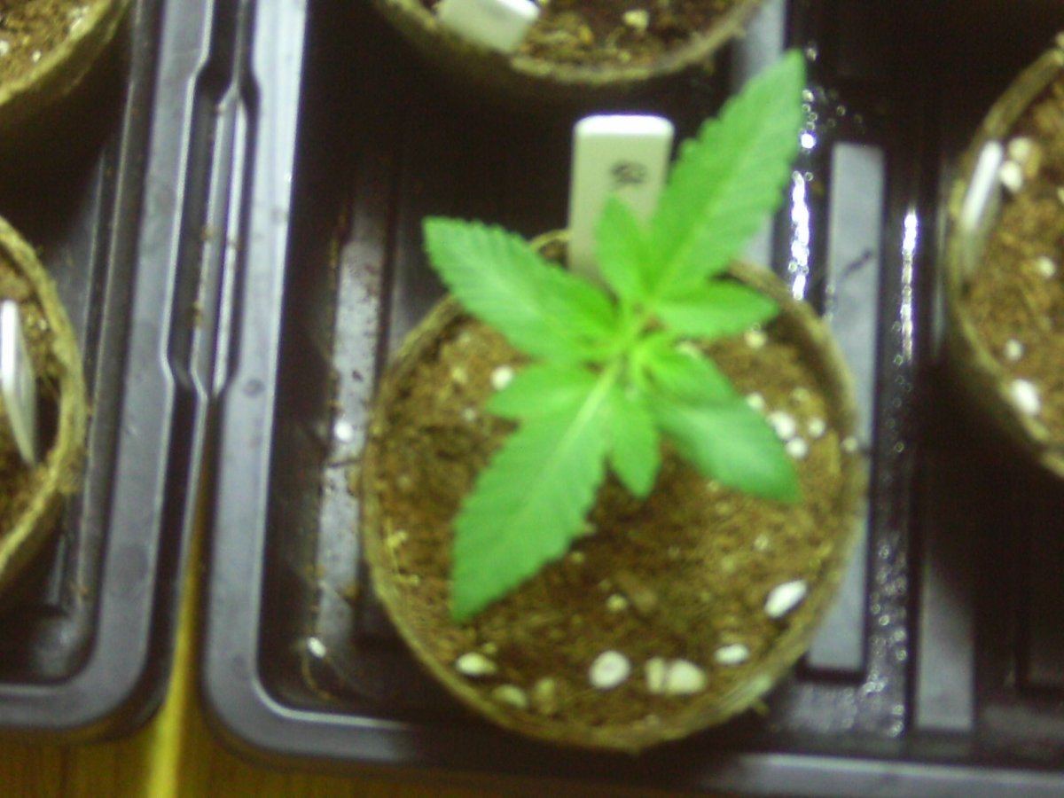 IMAG0005