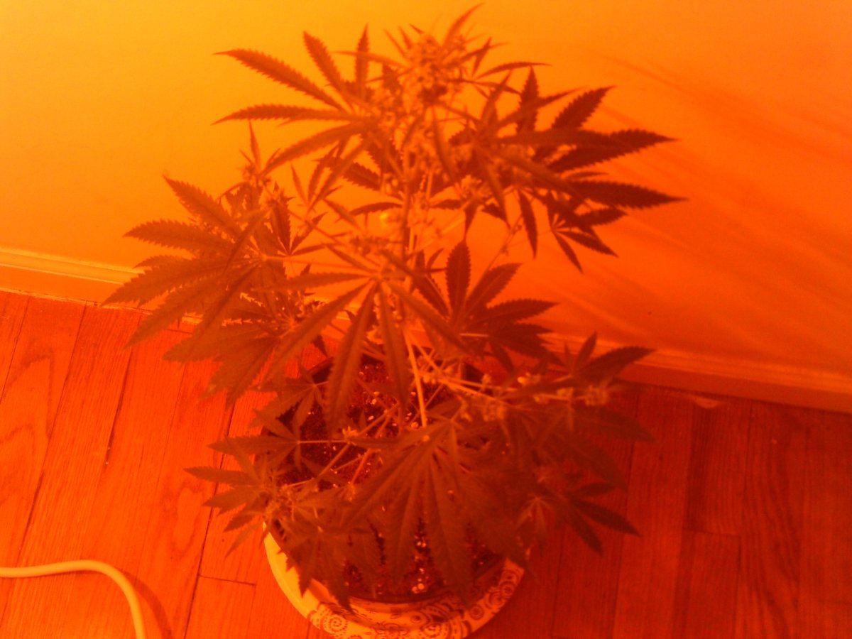 IMAG0017