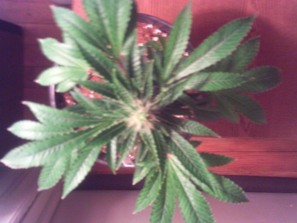IMAG0018