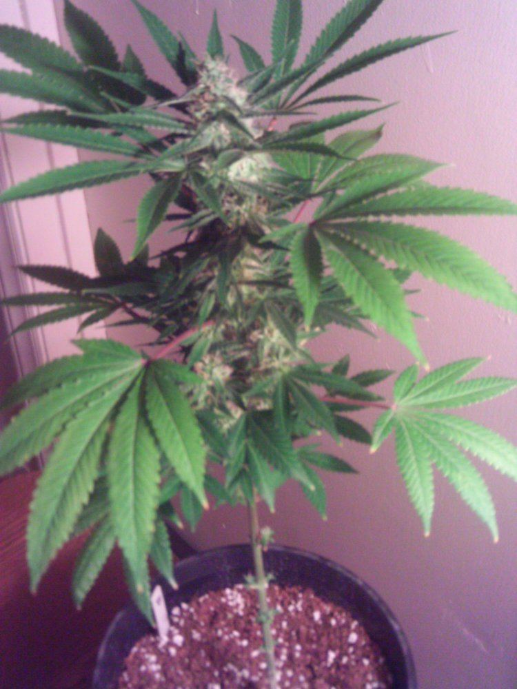 IMAG0025