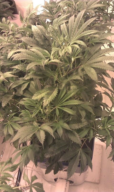 IMAG0029