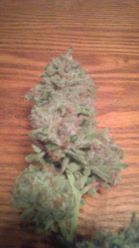 IMAG0060