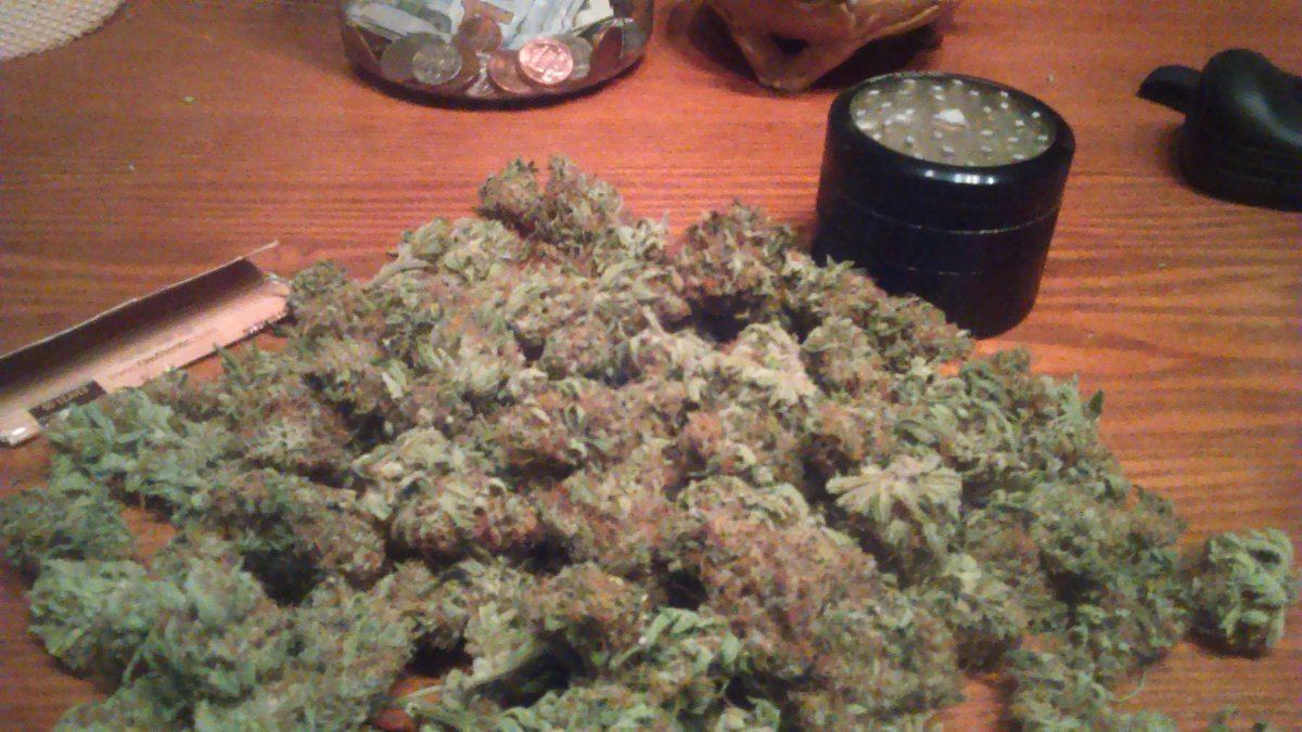 IMAG0061