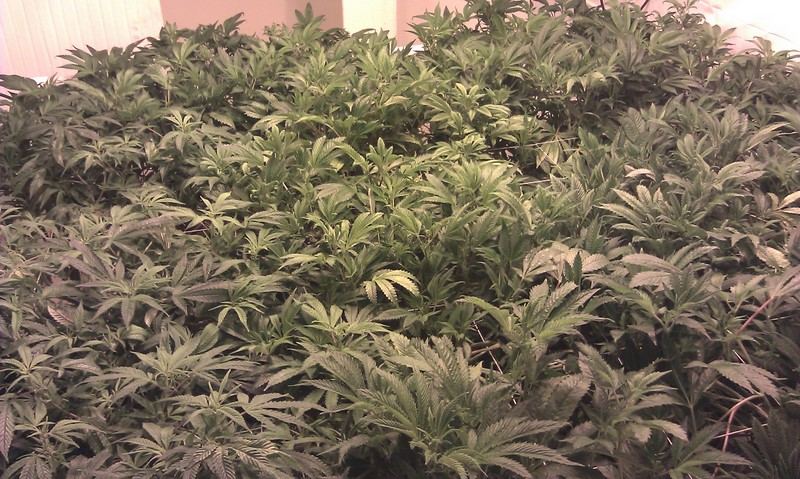 IMAG0065