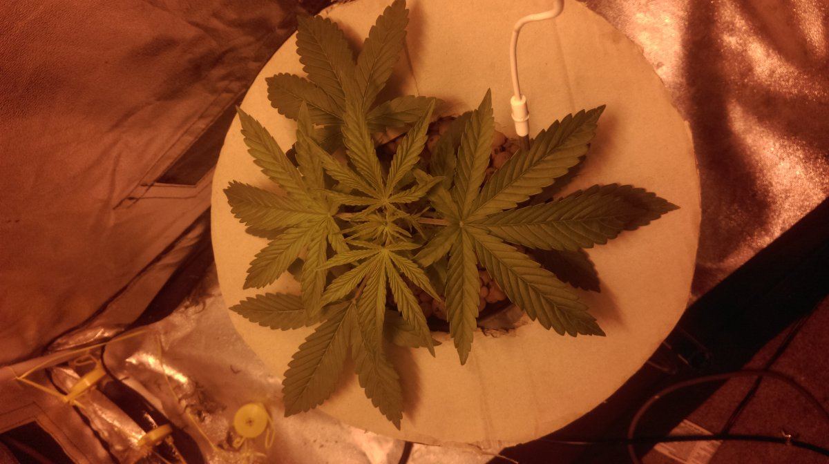 IMAG0065