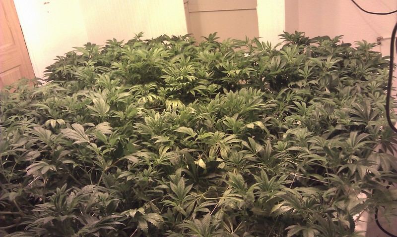 IMAG0066