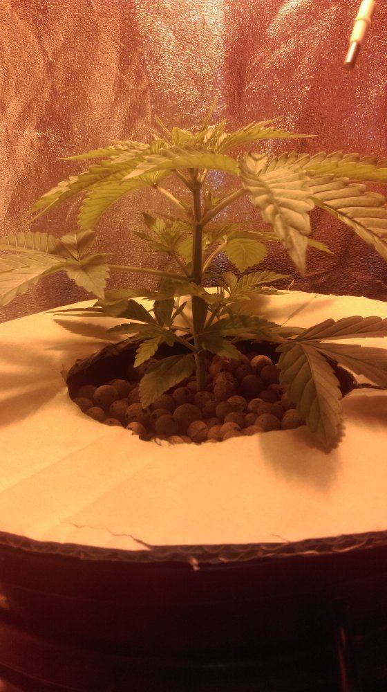 IMAG0066