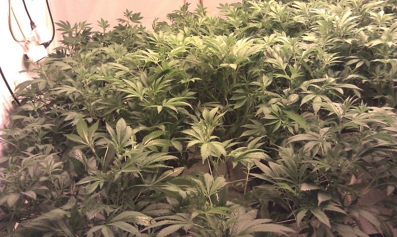 IMAG0090