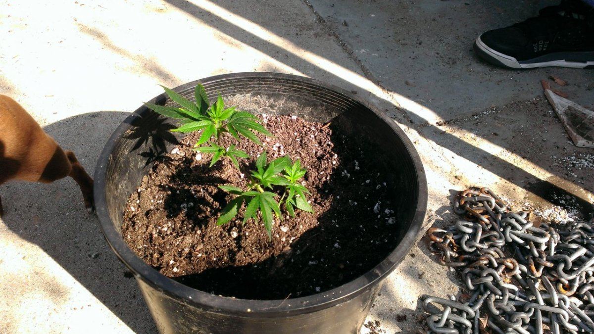 IMAG01012