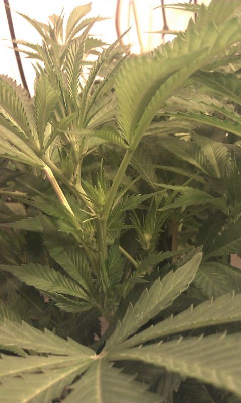 IMAG0102