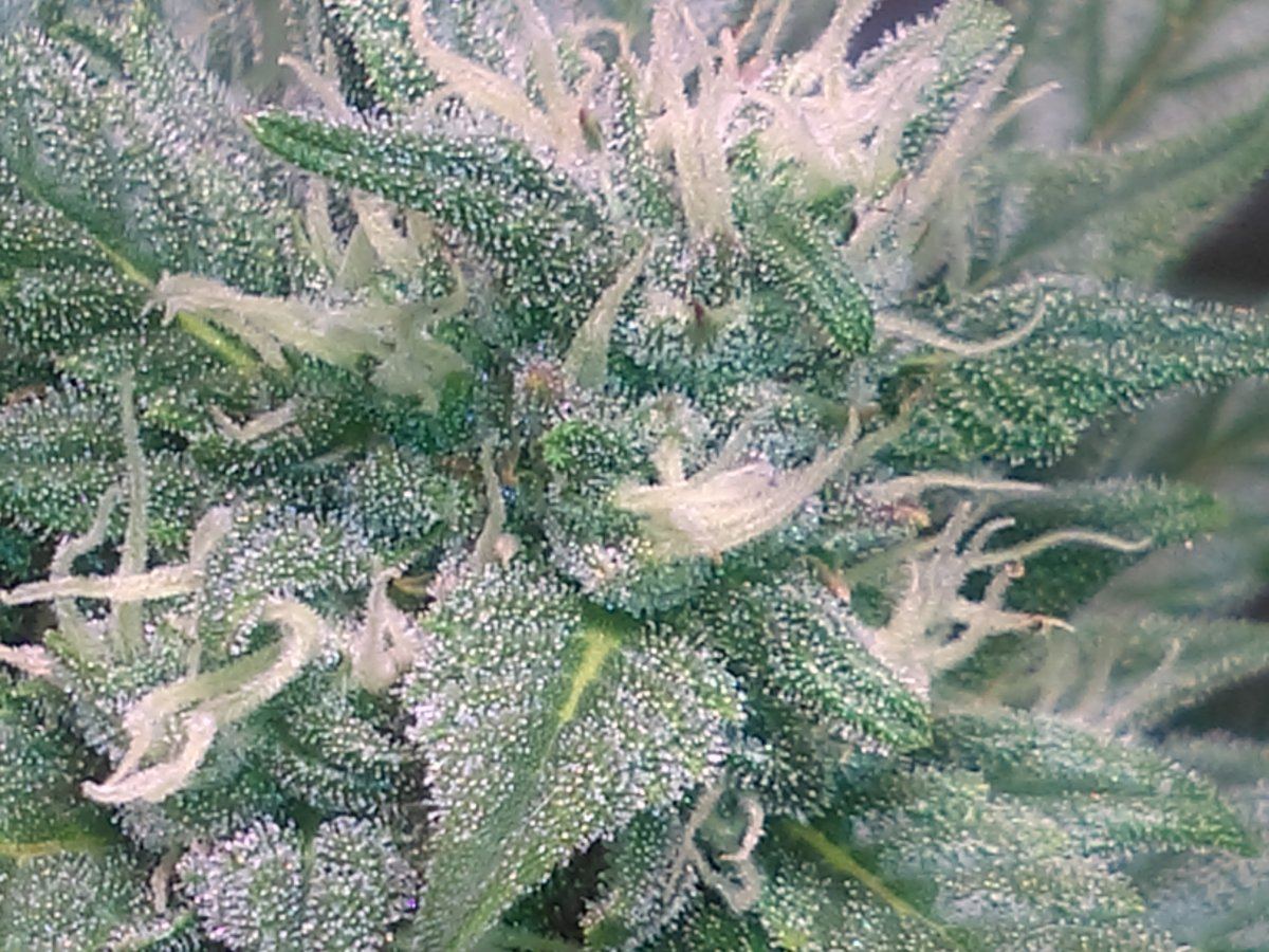 IMAG0102