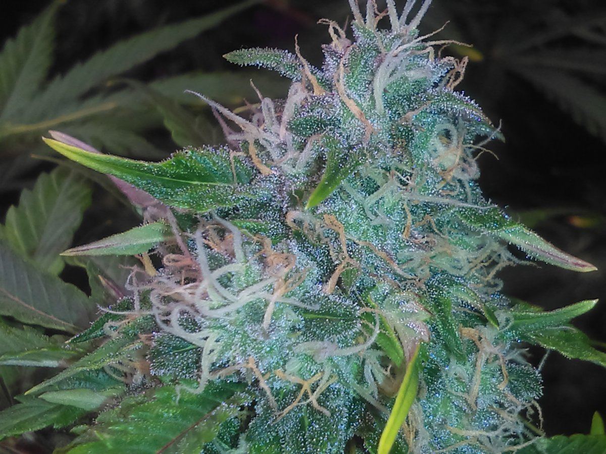 IMAG0112