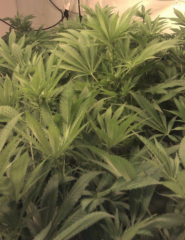 IMAG0125