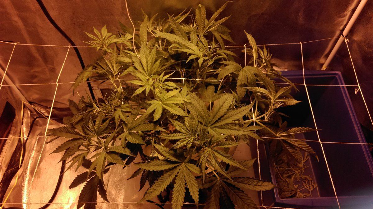 IMAG0126