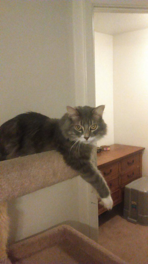 IMAG0137