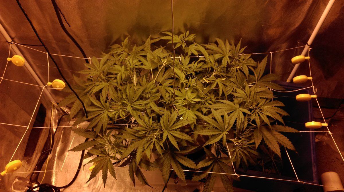 IMAG0138
