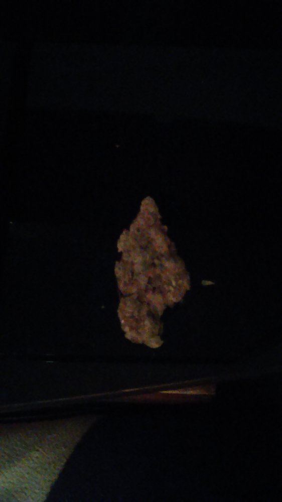 IMAG0141