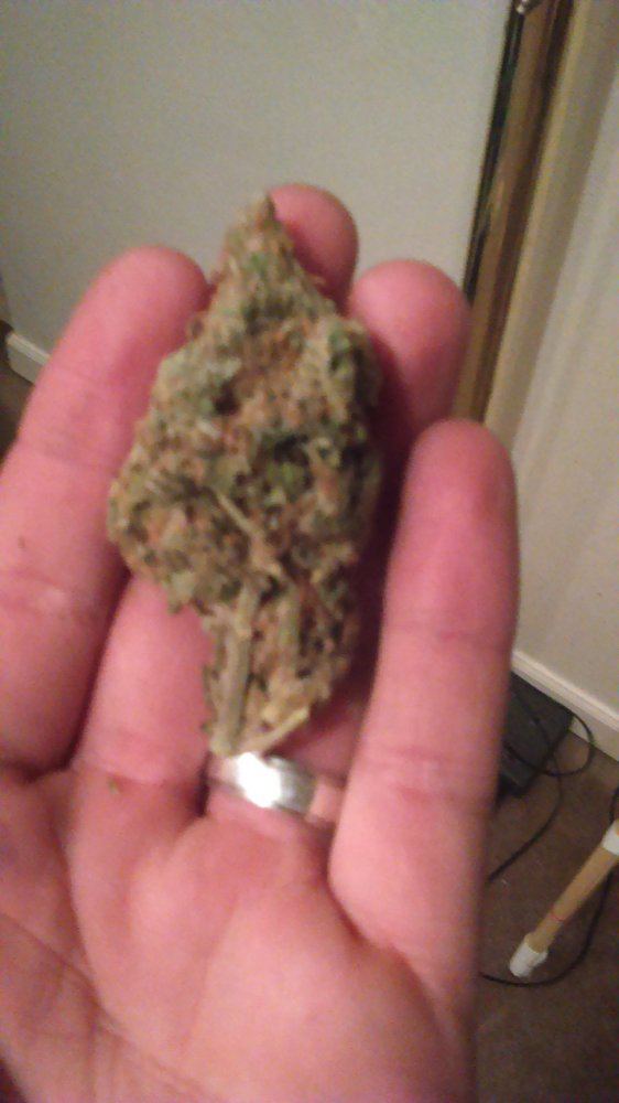 IMAG0142