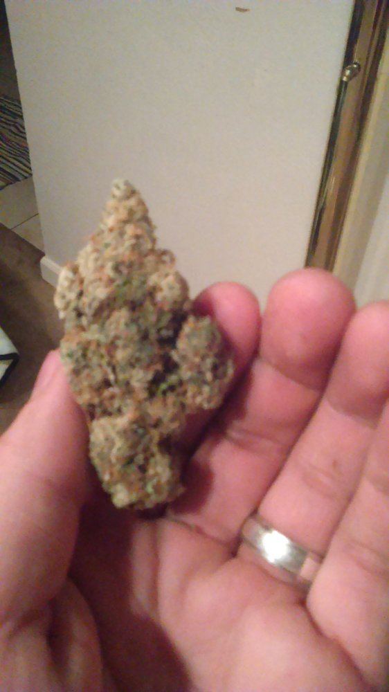 IMAG0143
