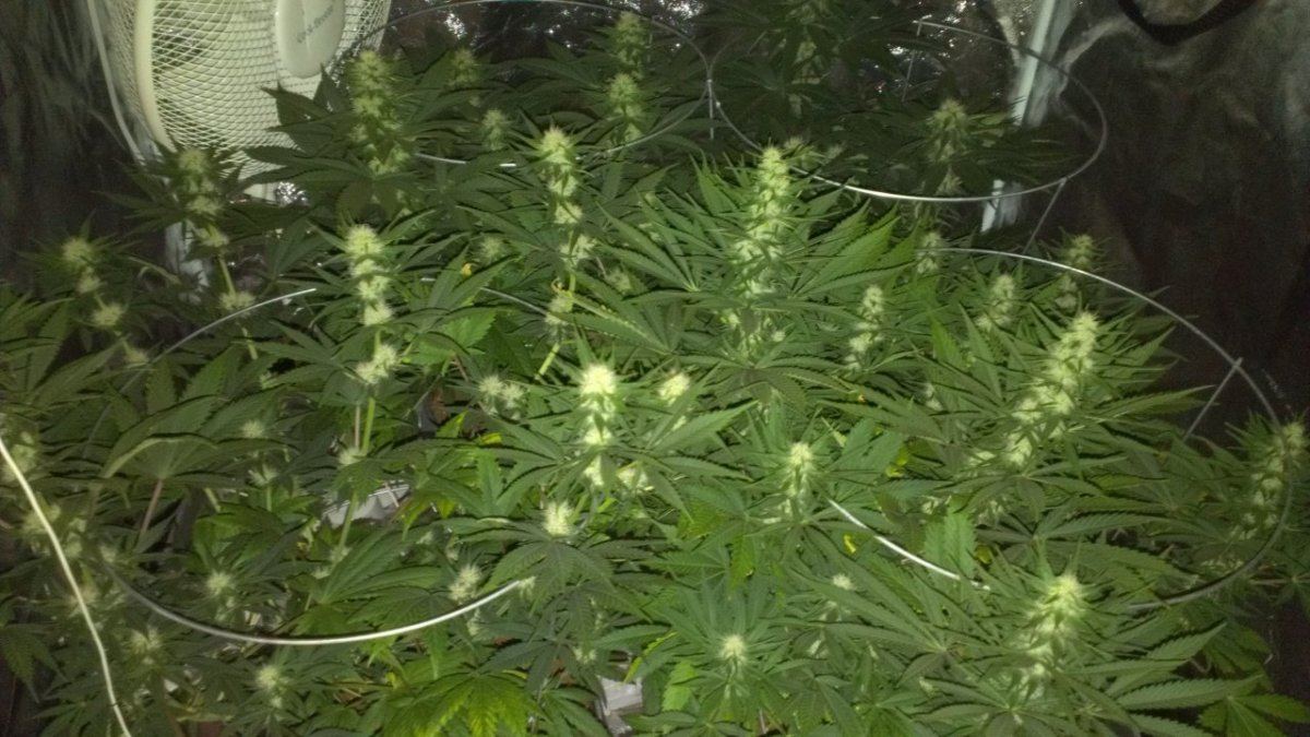 IMAG0144
