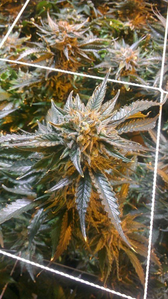 IMAG0157