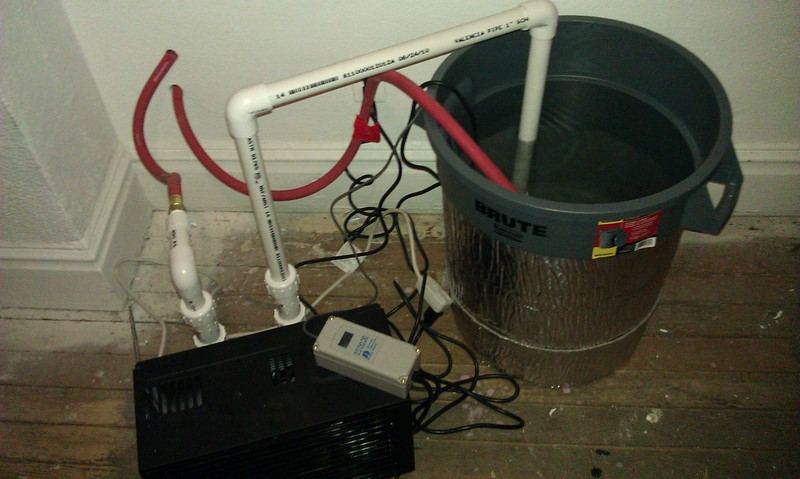 IMAG0158