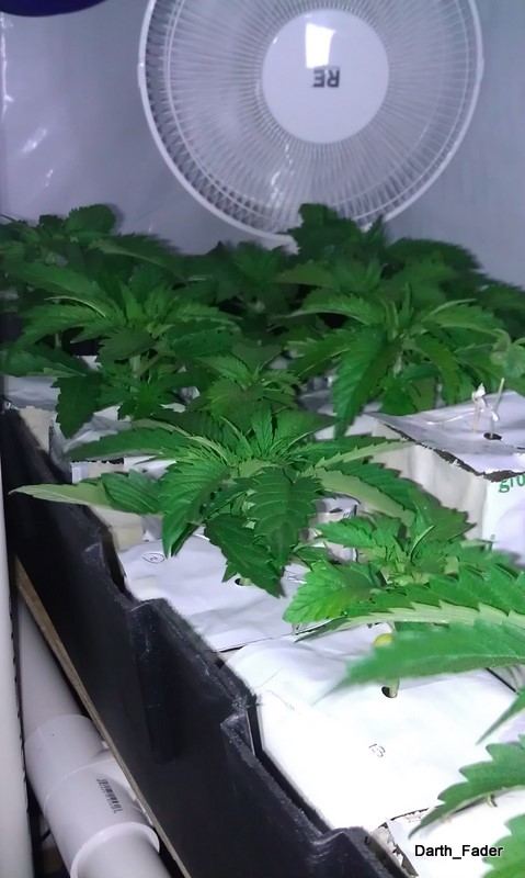 IMAG0162