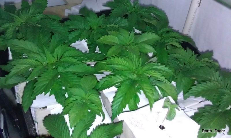 IMAG0163