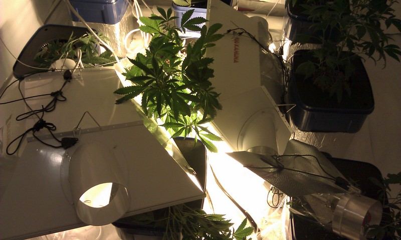 IMAG0164