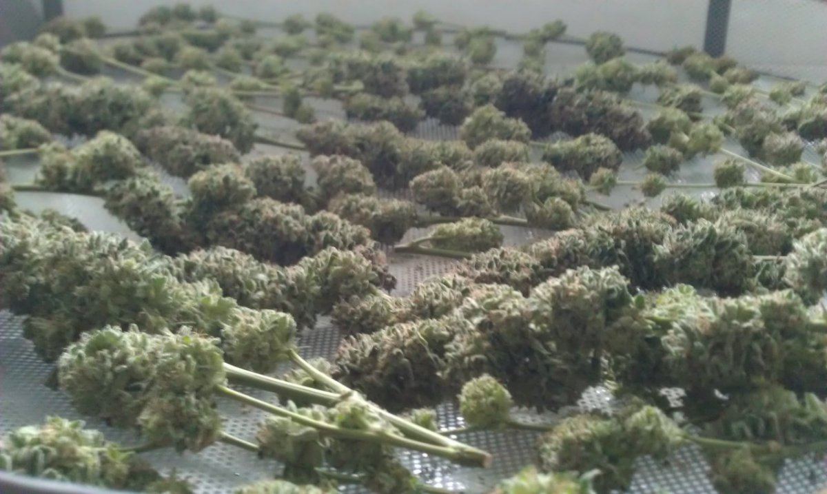 IMAG0164