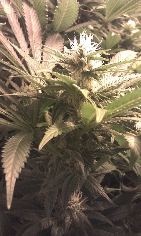IMAG0166