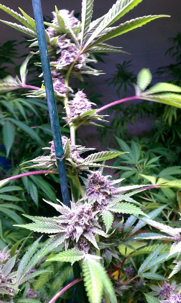 IMAG0167