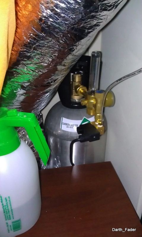 IMAG0168