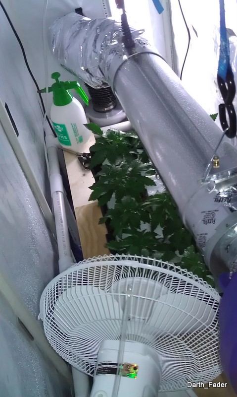 IMAG0171