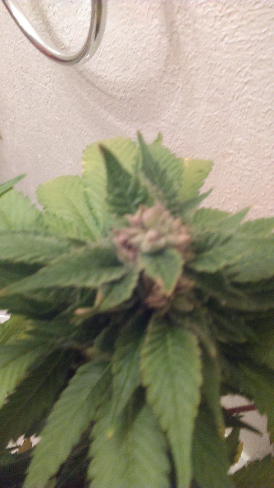 IMAG0171