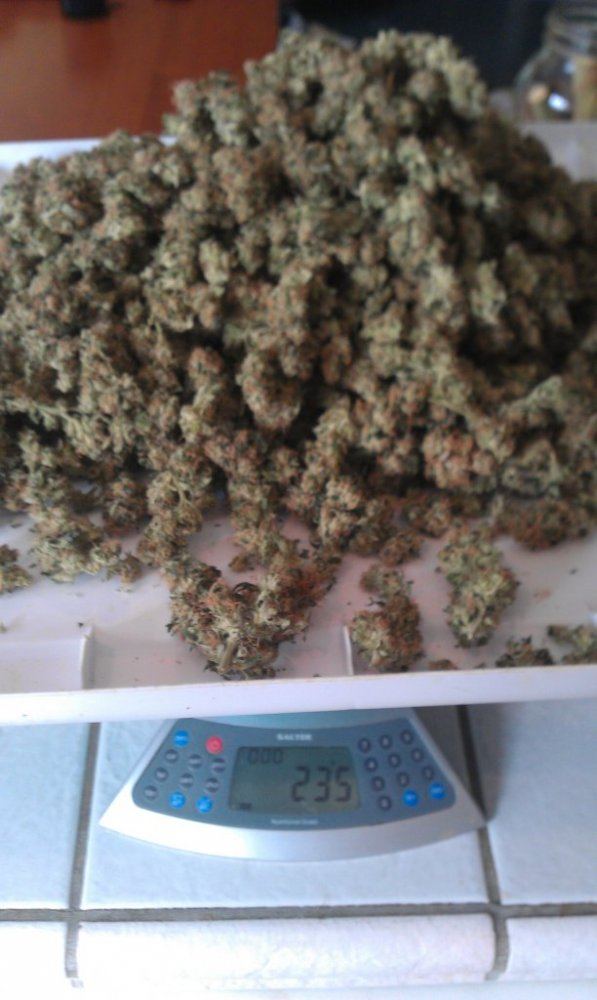 IMAG0175