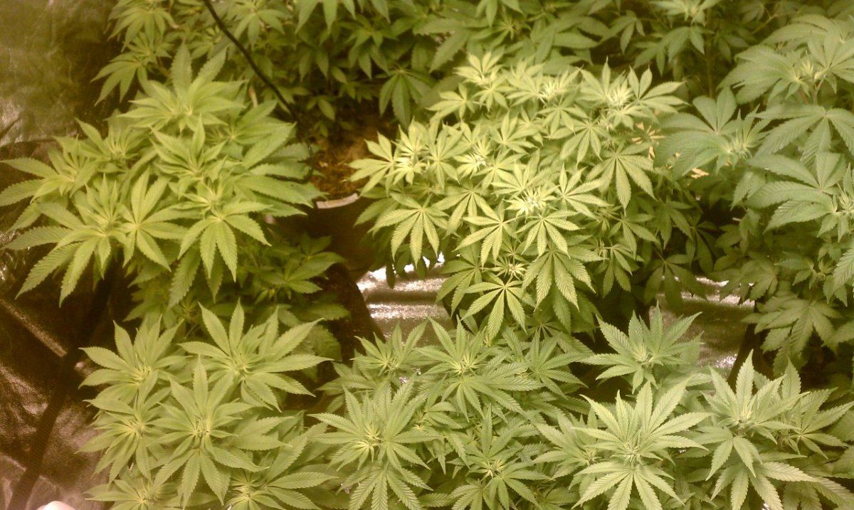 IMAG0182