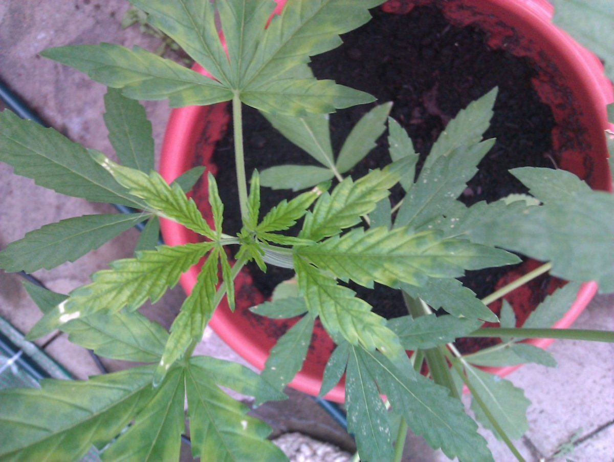 IMAG0182