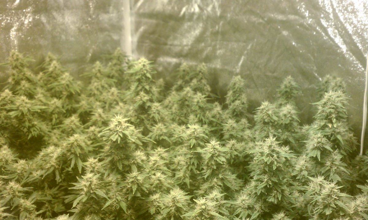 IMAG0222