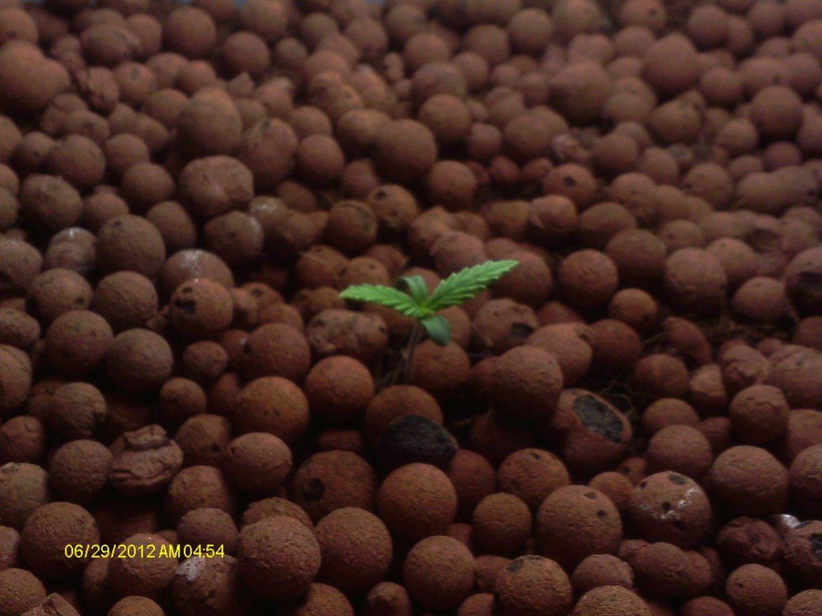 IMAG0244