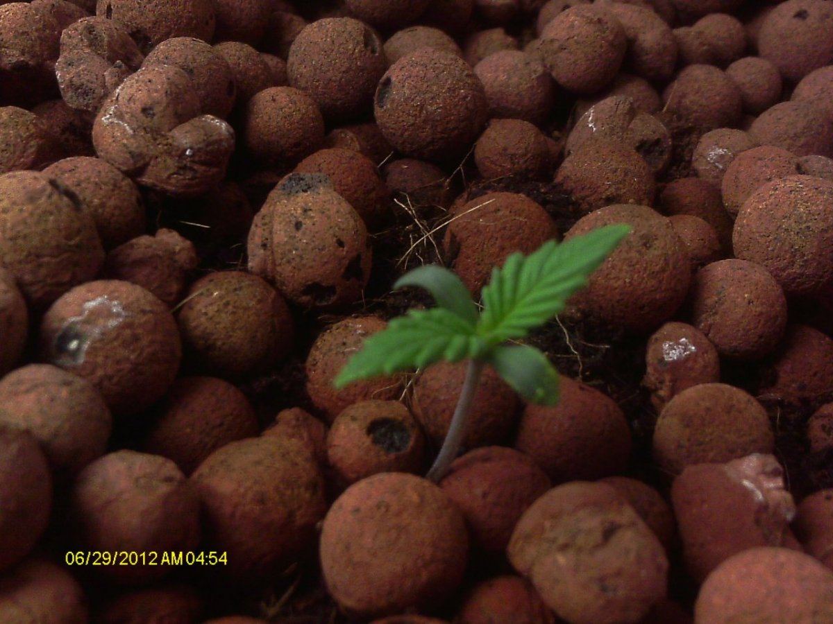 IMAG0248